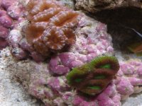 DSC00508.JPG
