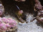 DSC00518.JPG