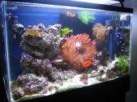 img_2385.jpg