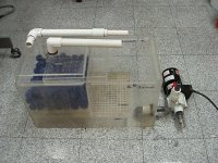 P5020129.jpg