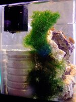 2.5G DSB Working Behind the Scene P1020616 copy.jpg