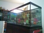 DSC00186.JPG