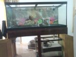 DSC00189.JPG