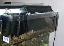 Ecosystem Mud Refugiium with Rio Power Head P1030005 copy.jpg