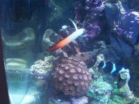 100_1179.jpg