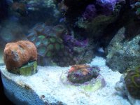 100_1216.jpg