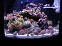 New_Aquapod setup2 019.jpg