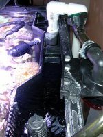 New_Aquapod setup2 021.jpg