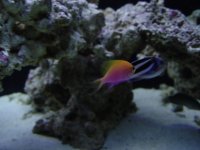 DSC07901.JPG