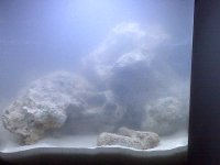 -Device Memory-home-user-pictures-IMG00187.jpg