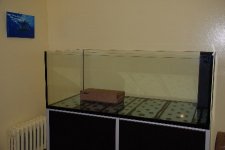 mini-DSC_0305.JPG