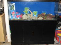 IMG_0575.JPG