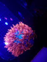 20210328_223446.jpg