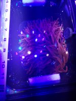 20210329_163621.jpg