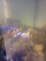 20210327_234502.jpg