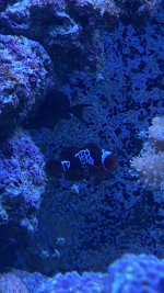 BD026357-C095-436D-8157-8FCD2BB9057B.jpeg