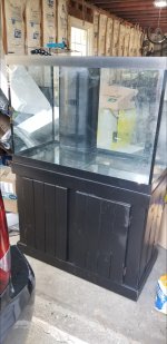 Screenshot_20210403-120645_Gallery.jpg