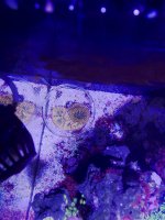 7160B296-D241-4D48-88F0-5171D97E5B7F.jpeg