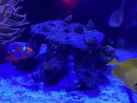 IMG_0983.jpg
