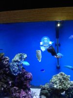 IMG_20210407_135958.jpg