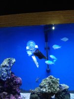 IMG_20210407_135950.jpg