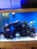 IMG_20210407_143214.jpg