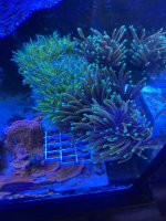 E6ED0B8E-B9A7-4EA6-A783-96F6E0BB37C5.jpeg