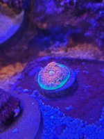 20210206_184401.jpg