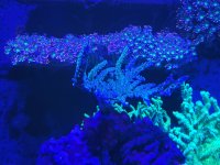20210112_213349.jpg