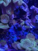 C547A59F-AA9E-4546-BC0A-D240BA8B3B95.jpeg