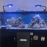 Screenshot_2021-04-10 Mark ( potter_85) • Instagram photos and videos(2).png