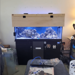 Screenshot_2021-04-10 Mark ( potter_85) • Instagram photos and videos(1).png