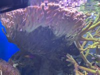 55091473-D81F-421B-9879-59768D8142B9.jpeg