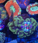 F58265EA-D3E7-41AE-A55B-E1B22B190D23.jpeg