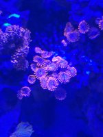 20210409_205555.jpg