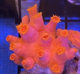 45334354-4B7A-4F30-8297-DAE1089379D0.jpeg