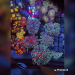 D81E5E42-1F86-466D-B0E3-7A1B57EE152C.jpeg