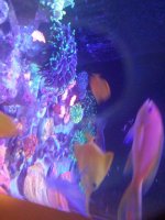 0415211546b.jpg