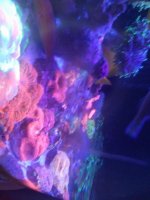 0415211546.jpg