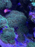 48D7103D-4F44-4020-96D6-060D03950598.jpeg