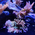 IMG_20210417_183930.jpg