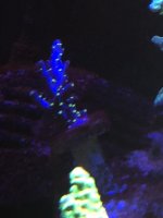 E801925F-74FE-4DDD-AB89-D443209D2398.jpeg