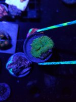 20210427_084927.jpg