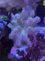 14EF2753-2BE6-46D7-A12F-BEE7D04BDDBC.jpeg