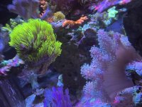 0E93F756-2DF1-43D2-9348-4BE1D20AE331.jpeg