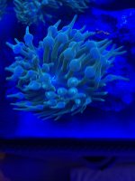 1E40AFEB-D77C-470C-B8DF-FEC6F15E71C0.jpeg