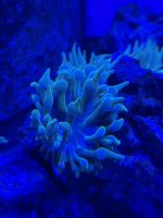 597755C8-0D60-4EB8-AE05-DC3AFBCB820A.jpeg