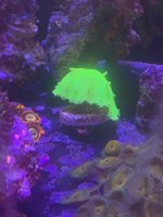 IMG_2588.jpg