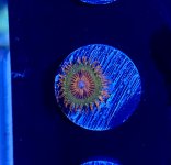 50033F6A-92A6-42EC-A599-1CDBE0F6DF14.jpeg