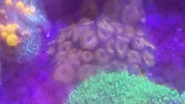 1620934286171-1162741582.jpg